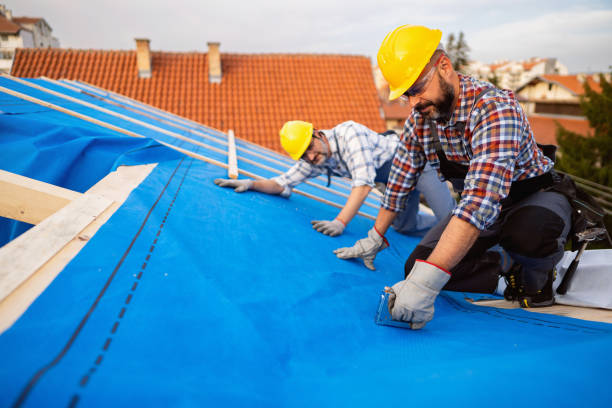 Best Metal Roofing Contractor  in Bryans Road, MD